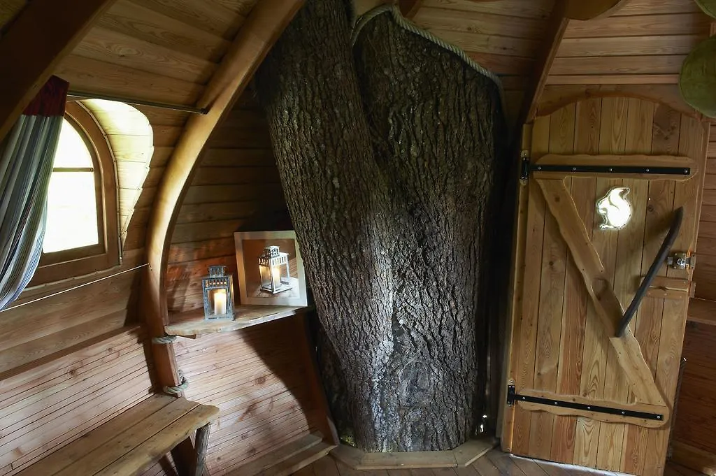 Insolite dans les arbres Les Ormes, Epiniac France