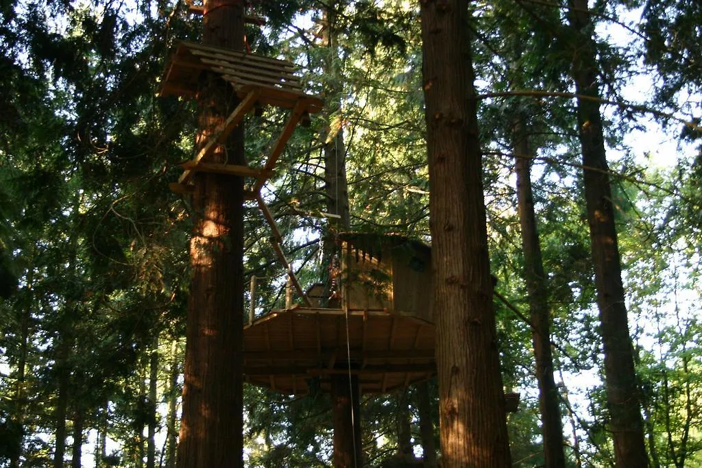 Insolite dans les arbres Les Ormes, Epiniac Couette-café