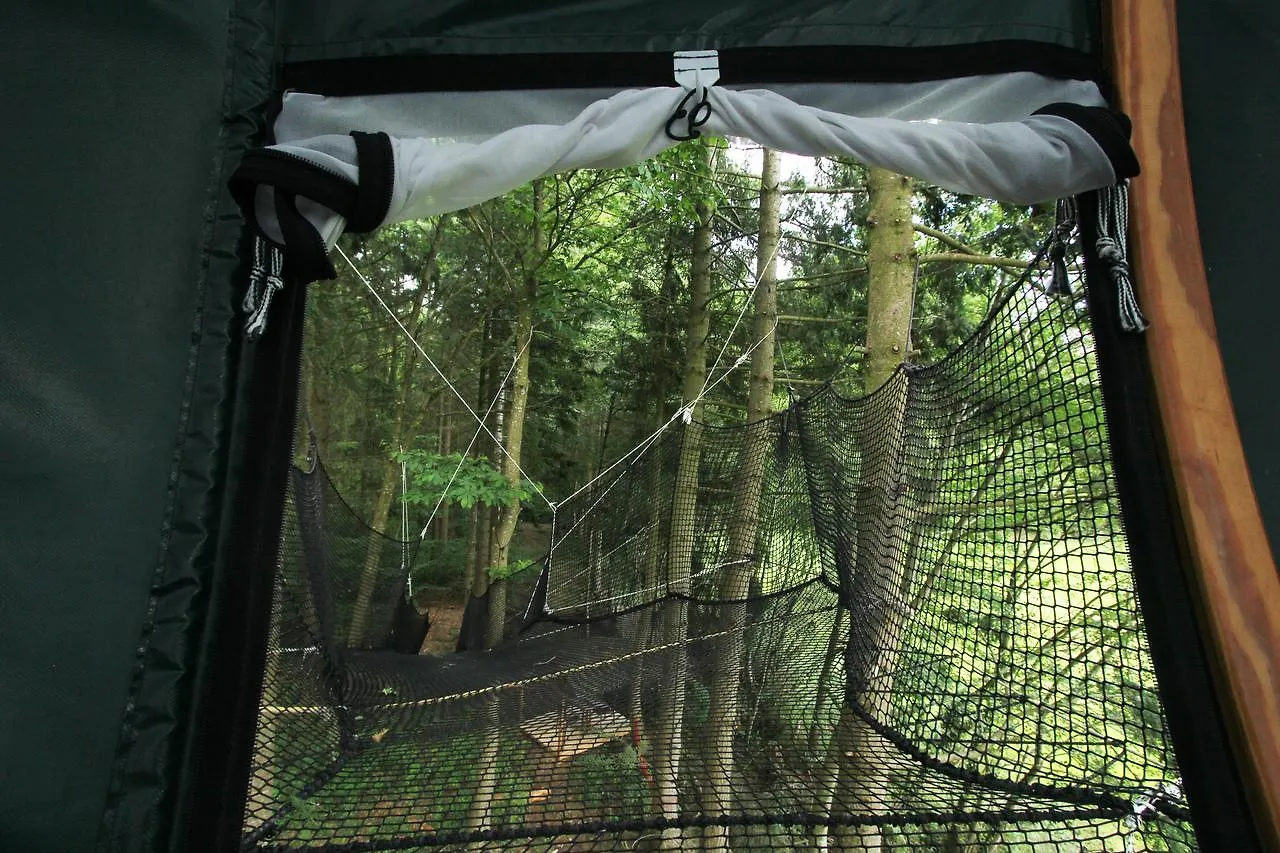 Insolite dans les arbres Les Ormes, Epiniac 0*,  France