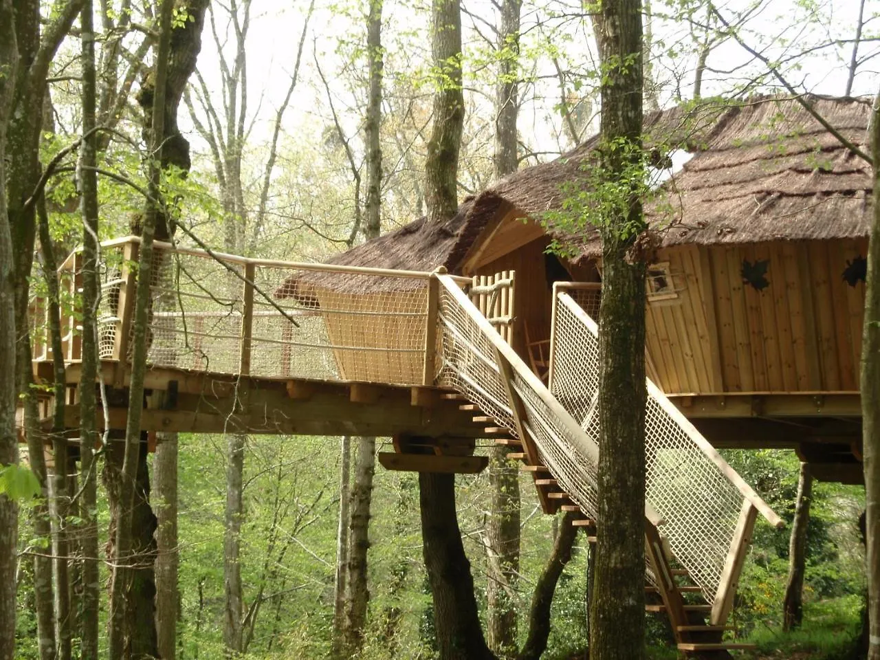 Insolite dans les arbres Les Ormes, Epiniac Couette-café