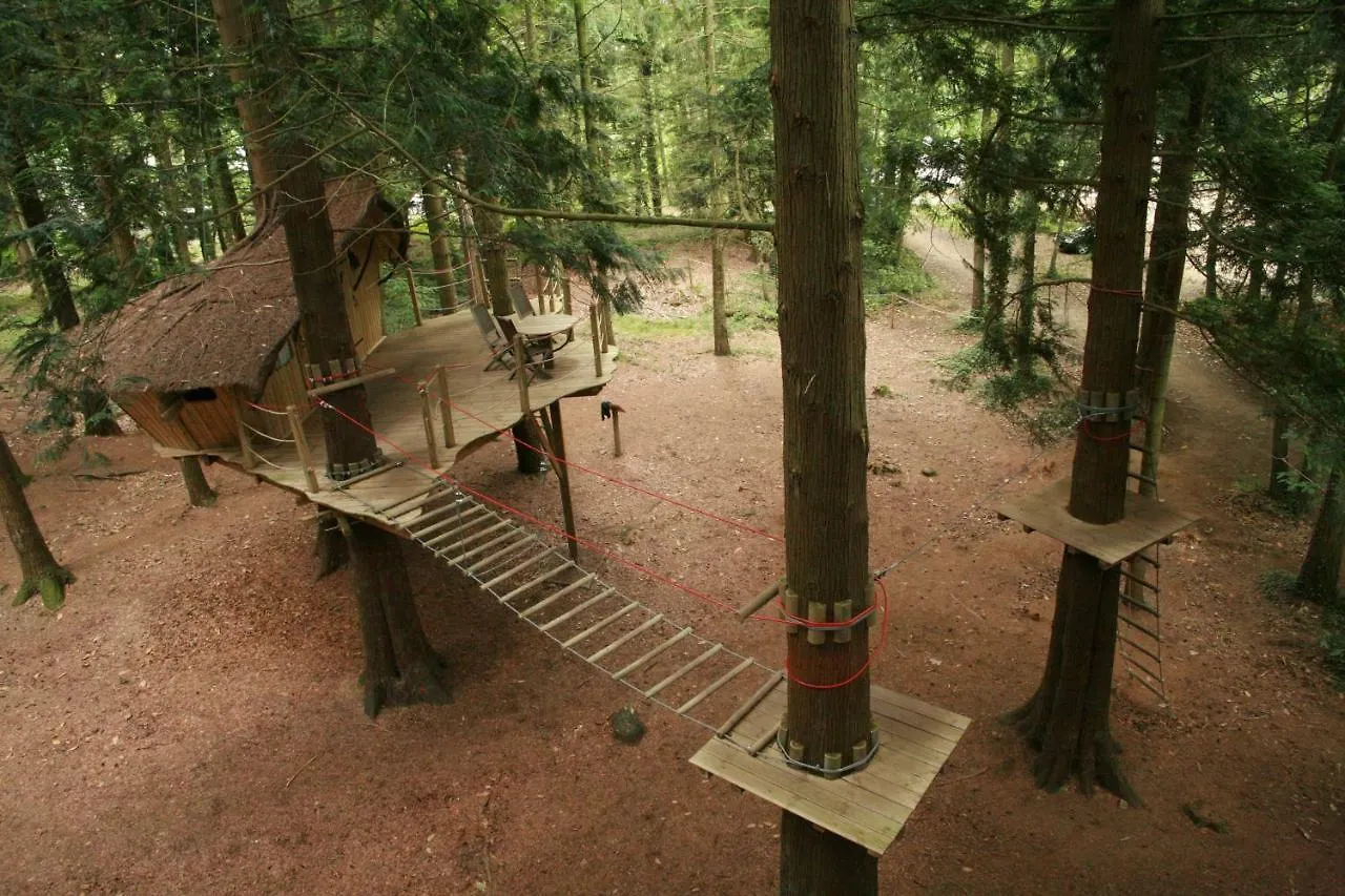 Couette-café Insolite dans les arbres Les Ormes, Epiniac France
