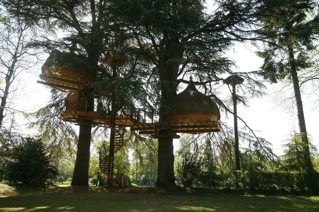 Insolite dans les arbres Les Ormes, Epiniac