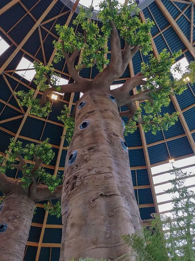 Insolite dans les arbres Les Ormes, Epiniac