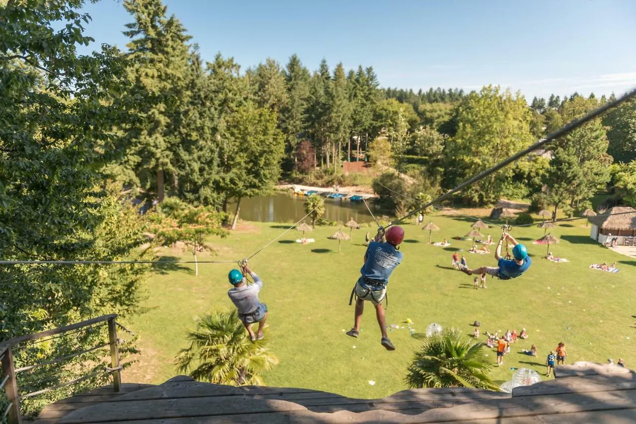 Couette-café Insolite dans les arbres Les Ormes, Epiniac