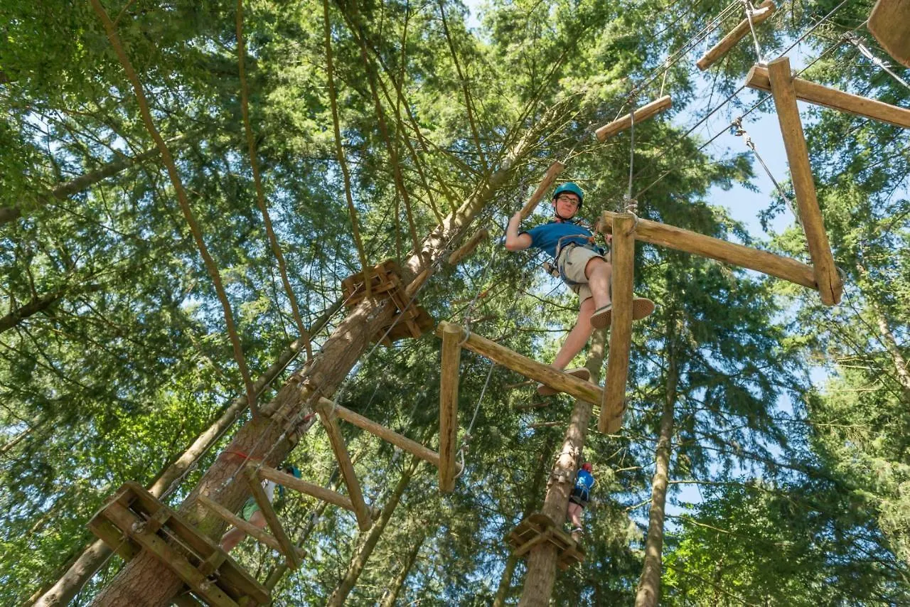 Insolite dans les arbres Les Ormes, Epiniac France
