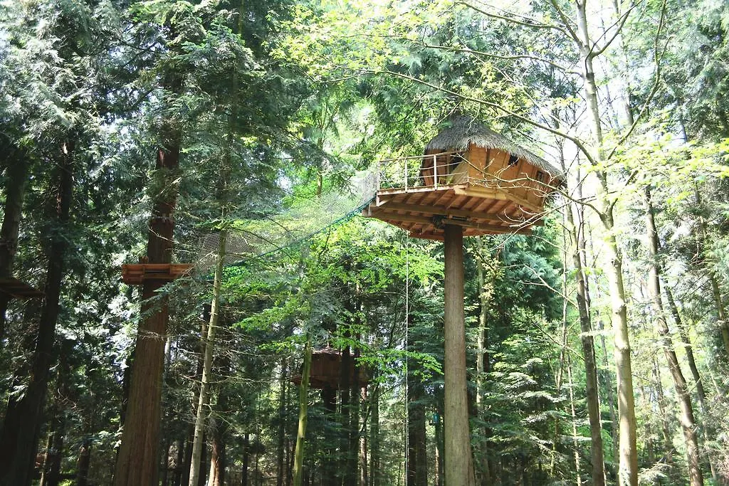 Insolites, Les Ormes, Epiniac Bed & Breakfast